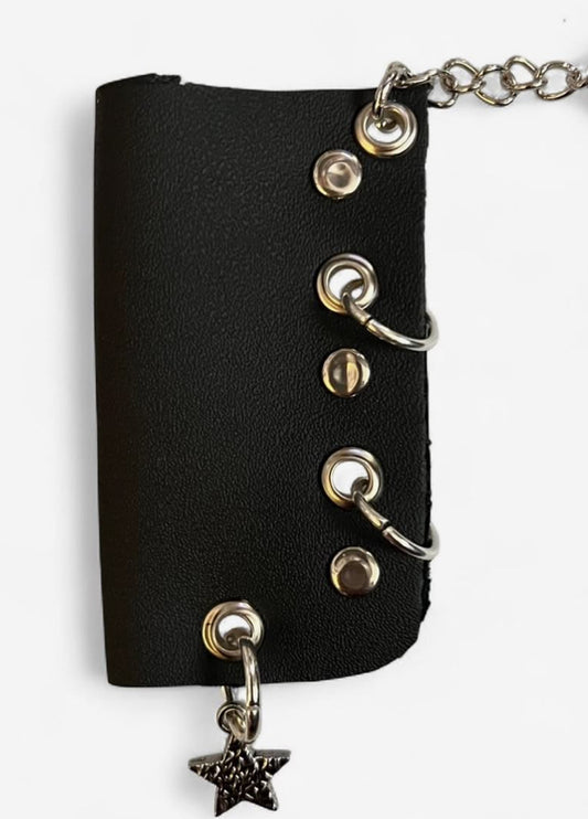 Lighter Case, Big